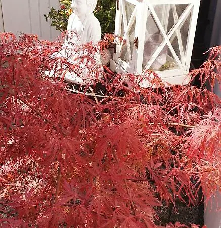 Hotel 'zum Augarten' Espira