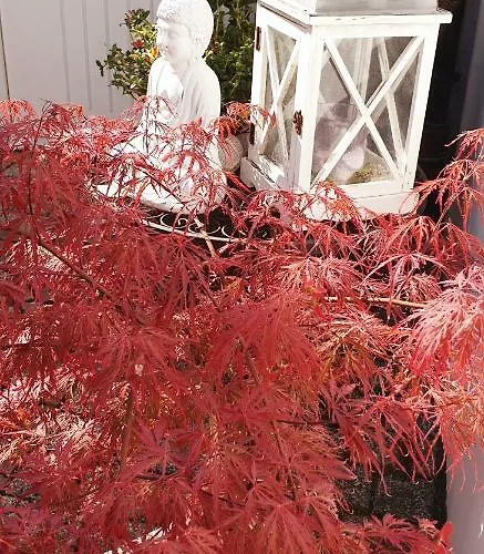 Hotel 'zum Augarten' Speyer